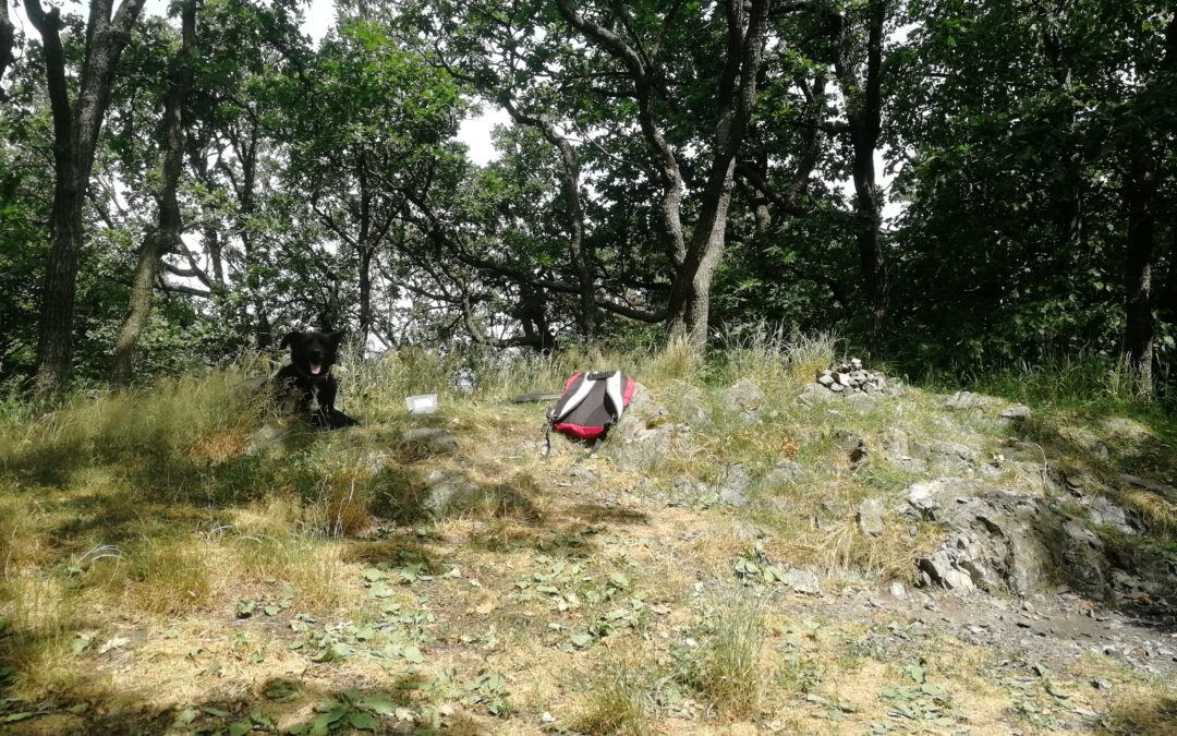 O Miejscach Mocy raz jeszcze