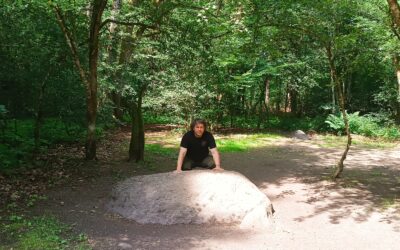 Kamienny Krąg i Miejsce Mocy w Puszczy Białowieskiej