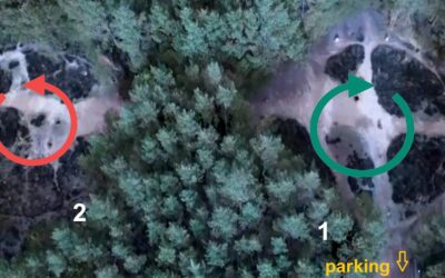 Grzybnica – krąg nr 2