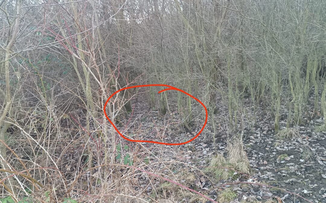 Miejsca Grozy przy stoku Janosik k. Sobótki  